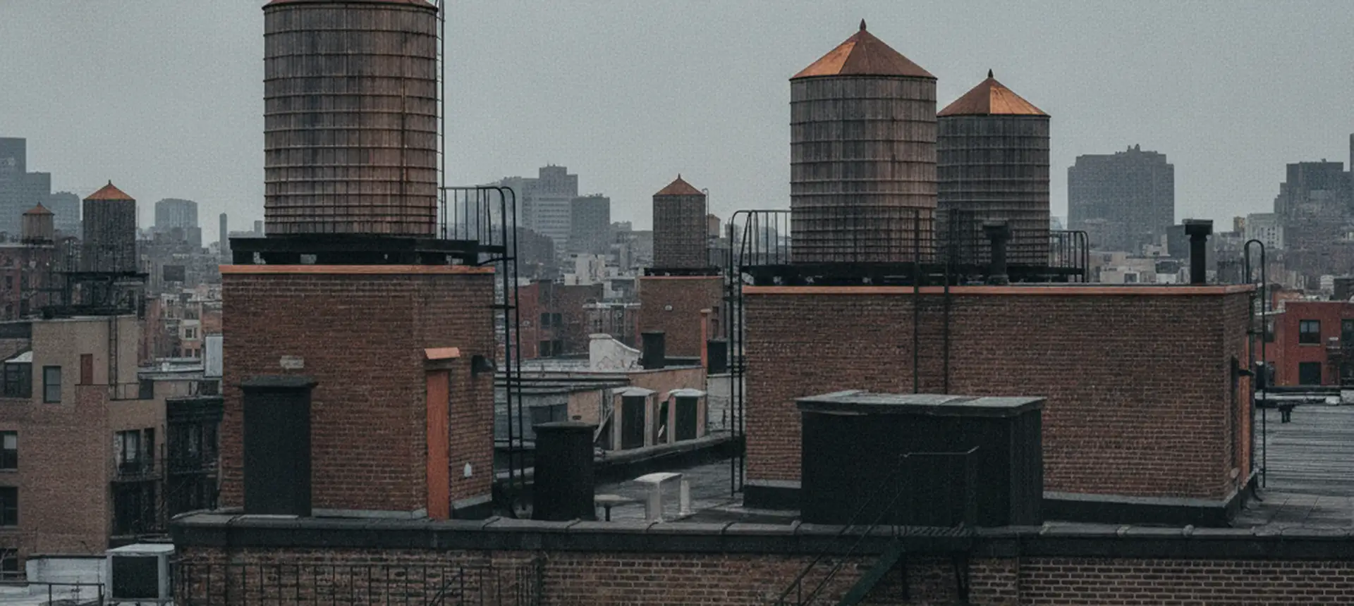 A wide view across New York rooftops with water towers, bulkheads and fire escapes under flat light.
